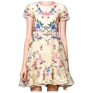 Never worn Chic wish Embroidered Organza Dress
